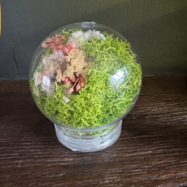 Bol met mos en verschillende bloemen