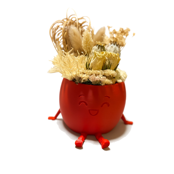 Rode lachende pot met droogbloemen